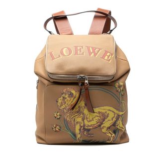 Loewe Brown Multi-Color Leather Backpack (Pre-Owned)