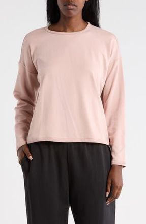 Eileen Fisher Crewneck Long Sleeve Crop Top in Opal at Nordstrom Rack, Size Xx-Small