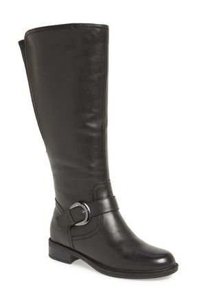 David Tate Branson Tall Riding Boot in Black at Nordstrom, Size 6.5