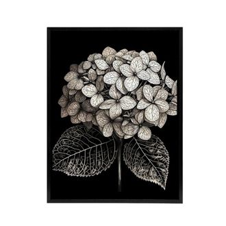 Artery8 Hydrangea Flower Bloom Black White Framed Canvas Wall Art Print in Grey | Size: W24 x H32