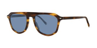 Paradigm Raleigh Tortoise Mens Sunglasses Tortoiseshell Size 54