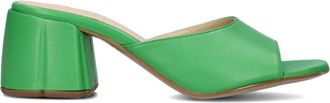 Lina Locchi Lime Slippers Stijlvol Comfortabel - Dames - Muiltjes - Groen - 37 EU - Schoenen