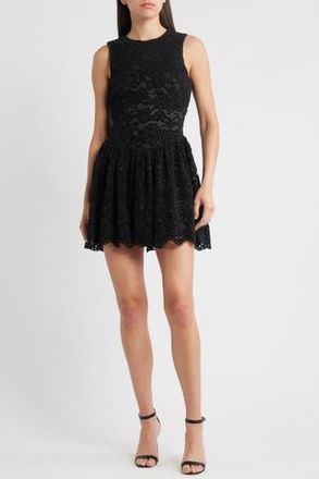 LIKELY Elisie Lace Fit & Flare Cocktail Dress in Black at Nordstrom Rack, Size 12