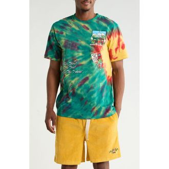 Gotha Paradise Hills Cotton Graphic T-Shirt in Teal Green at Nordstrom, Size Medium