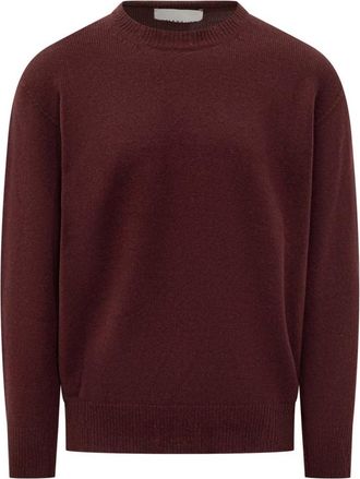 Amaranto Amar&aacute;nto, Uomo, Maglie, Rosso, L, new