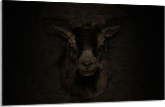 OEM Placa Protectora De Vidrio Para La Estufa 80x52 Koza