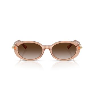 Tiffany & Co. 0tf4242d Translucent Acetate Oval Sunglasses