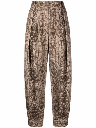 Alberta Ferretti Pantaloni con stampa - Marrone