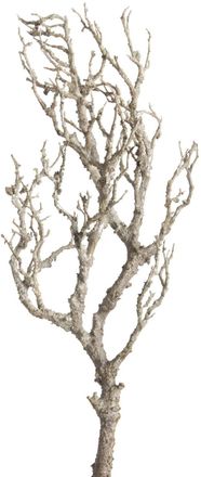 Botanic-Haus Kunstzweig »Deko-Ast«