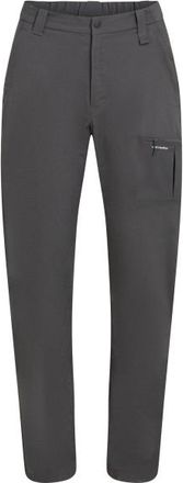 Icebreaker Merino Elevation Stretch Pants Trekkinghose f&uuml;r Damen | grau