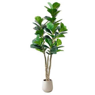 OEM Ficus Lyrata Artificial, Dise&ntilde;o Realista, F&aacute;cil De Cuidar, Verde, 150 Cm