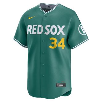 Nike David Ortiz Boston Red Sox City Connect Mens Nike Mens Dri-FIT ADV MLB Limited Jersey in Green | LM250CE7QYH-DN9