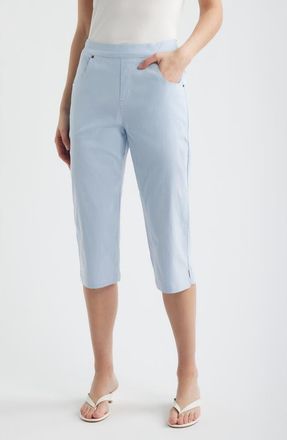 Hue Spring Stripe Petal Pusher Capri Pants in Blue at Nordstrom, Size X-Large