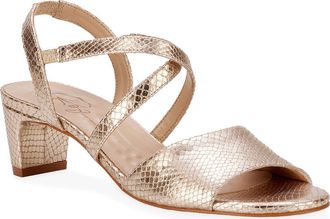 Ros Hommerson Liza Slingback Sandal in Gold Snake Print Leather at Nordstrom, Size 10.5