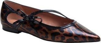 Linea Paolo Nuri Bow Pointed Toe Patent Flat in Brown/Black at Nordstrom, Size 7.5