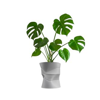 Jonathan Y Designs Brent MidCentury Modern Indoor Crushed Can Eco-Friendly 3D Printed Planter with Drainage
