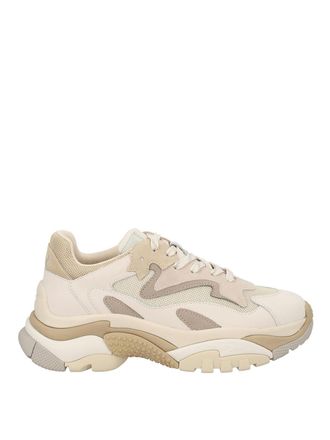 Ash Sneaker Addict