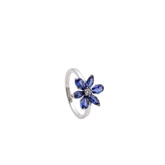 Pandora Dames, Accessoires, Grijs, Maat: 50 MM Synthetisch