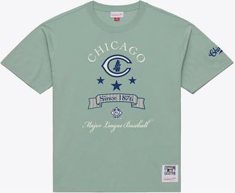 Mitchell & Ness Mens Mitchell & Ness Green Chicago Cubs Yacht Rock T-Shirt at Nordstrom, Size Xxx-Large