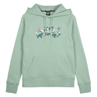 Santa Cruz Kapuzensweatshirt SANTA CRUZ CLUSTER STRIP HOOD, Damen, Gr. L (12), pale sage, Obermaterial: 80% Baumwolle, 20% Polyester, Sweatshirts Kapuzensweatshi
