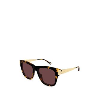 Chlo&eacute; Sunglasses - female - Chlo&eacute; - Sunglasses - Brown - 54 MM - Accessories