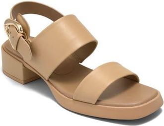 Aerosoles Dantay Slingback Sandal in Beige Bisque at Nordstrom, Size 7.5