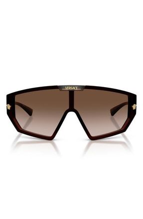 Versace Medusa Horizon 147mm Shield Sunglasses in Transparent Brown /Brown at Nordstrom