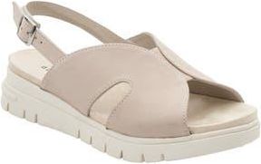 David Tate Madona Unit Slingback Sandal in Bone at Nordstrom Rack, Size 10