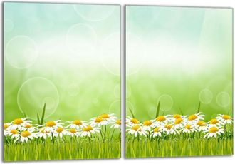 OEM Placa Protectora De Vidrio Para La Estufa 2x40x52 Margaritas