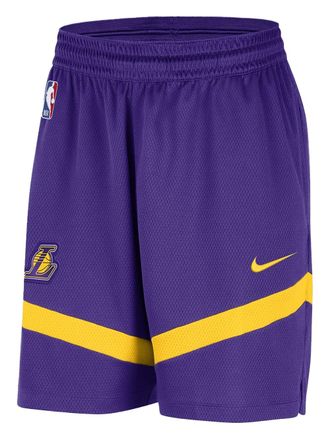 Nike NBA Lakers Icon shorts - Purple