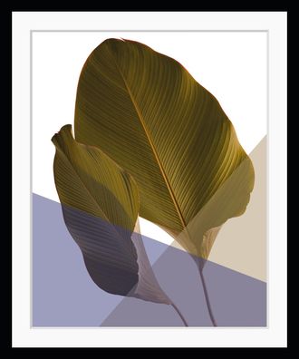 Queence Bild »Moritz« Abstrakt Blätter Figuren Kunst Pflanzen Pflanzenbilder HD Premium Poster-Druck inkl. Holzrahmen