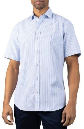 Tailorbyrd Stripe Linen Blend Button-Up Shirt in Light Blue at Nordstrom Rack, Size Small