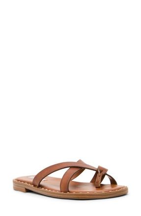 Steve Madden Brutus Slide Sandal in Tan Leather at Nordstrom, Size 5.5
