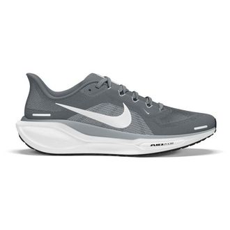 Nike Pegasus 41 Runningschuhe f&uuml;r Herren | grau