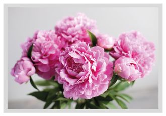 Queence Bild »Linn« Blumenbilder Blätter Foto Kunst