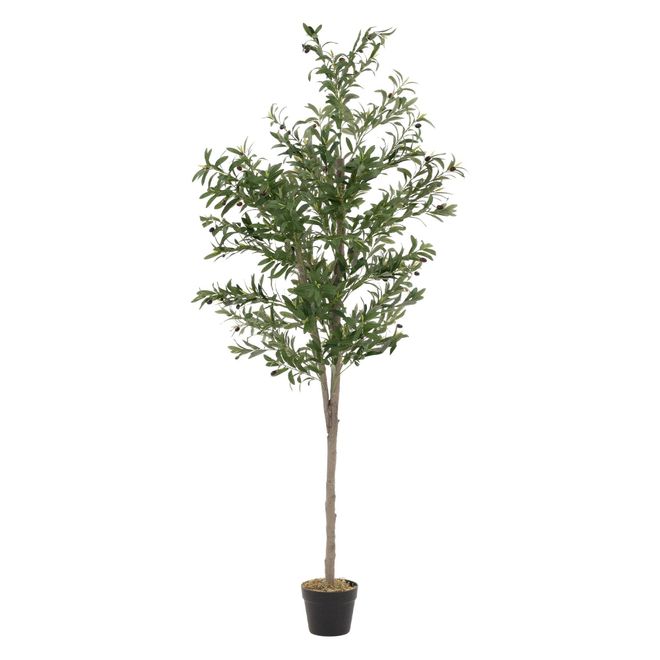ML Design ML-Design Künstlicher Olivenbaum 180 cm, Künstliche Pflanzen groß, Kunstpflanze mit Naturholzstamm und Früchten, Fake Plastikpflanzen im Topf für Indo ab 72,99 €