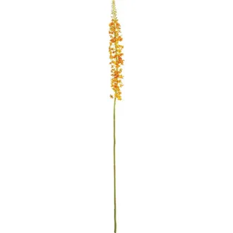 Napa Home & Garden Eremurus Artificial Stem 46 in Orange at Nordstrom