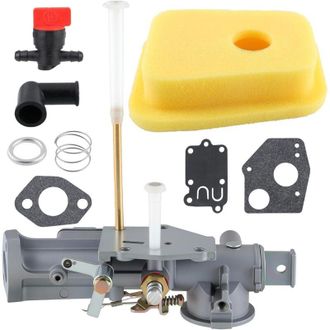 OEM Carburador Autokay 299437 297599 Compatible Con Motores De Las Series 135200, 130200 Y 100200. Motor Peque&ntilde;o De 4 Tiempos: 130201, 130202, 130203, 130