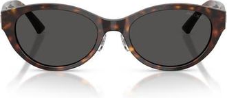 Jimmy Choo London 55mm Oval Sunglasses in Havana /Dark Grey at Nordstrom