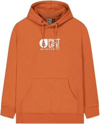 Picture Basement Hoodie Hoodie f&uuml;r Herren | orange