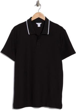 Calvin Klein Tipped Collar Cotton Blend Polo in Black at Nordstrom Rack, Size Xx-Large