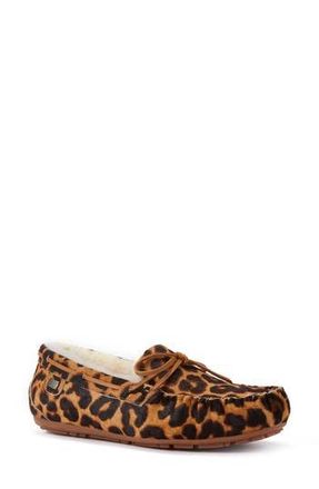 Australia Luxe Prost Genuine Shearling Slipper in Leopard at Nordstrom Rack, Size 5