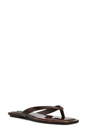 Steve Madden Trella Flip Flop in Tortoise at Nordstrom, Size 9.5