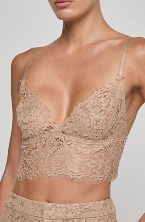 L'agence Aislin Lace Bralette Top in Cappuccino at Nordstrom, Size X-Large