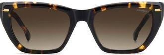 Carrera 52mm Rectangular Sunglasses in Havana/Brown at Nordstrom