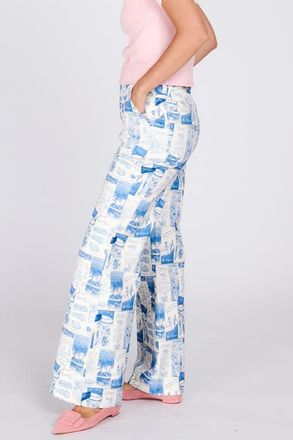 Rachel Antonoff Mike Pant in Borscht Brochures at Nordstrom, Size 20