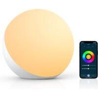 OEM L&aacute;mpara De Mesa Inteligente, L&aacute;mpara De Mesilla Compatible Con Alexa Y Google Home, L&aacute;mpara T&aacute;ctil Rgb Con Cambio De Color Ajustable Para Ni&ntilde;os - Crez