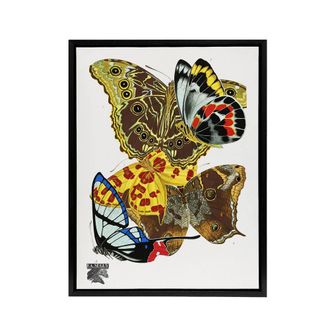 Artery8 Papillons Bright Vintage Butterflies Framed Canvas Wall Art Print Seguy | Size: W24 x H32