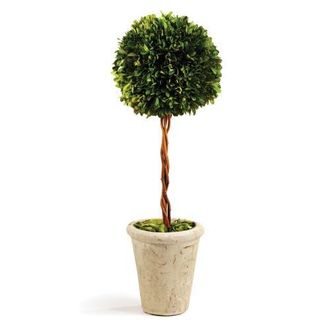 Napa Home & Garden Boxwood Single Faux (Fake) Sphere Topiary 18.5 in Green at Nordstrom