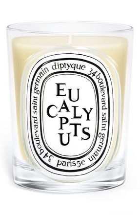 Diptyque Eucalyptus Classic Candle at Nordstrom